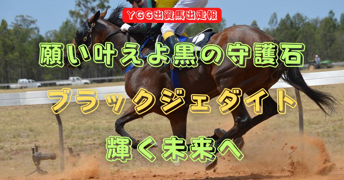 願い叶えよ黒の守護石　ブラックジェダイト　輝く未来へ